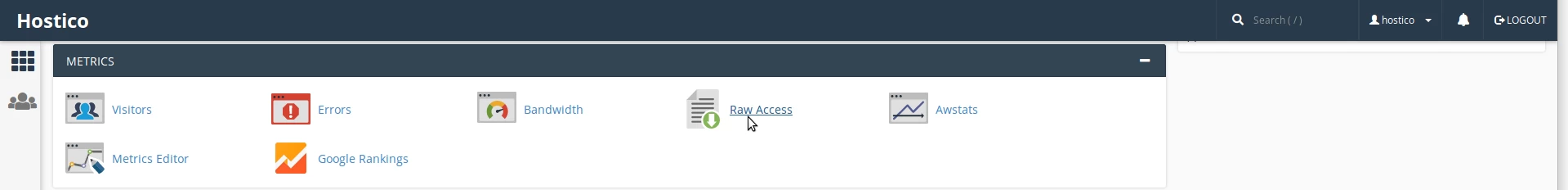 Raw access metrics cPanel